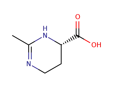 ectoin